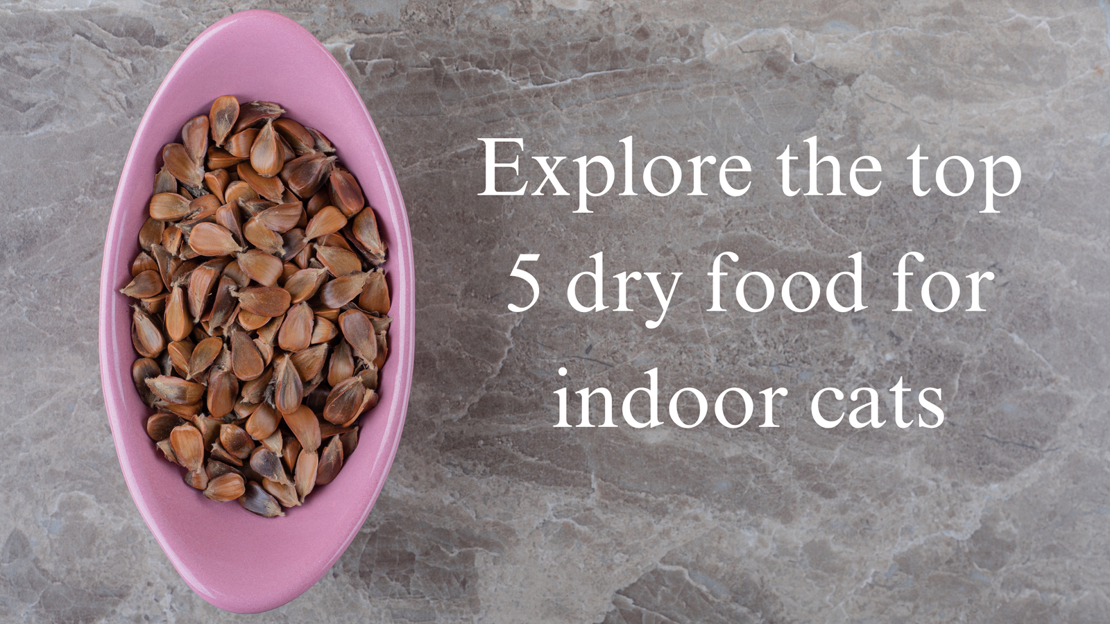 "A pink bowl filled with dry seeds placed on a marble surface, with text reading 'Explore the top 5 dry food for indoor cats' in white, positioned on the right side of the image."