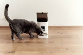 The photo shows a black-colored cat eating dry food from the belly of the Simply Smart Feeder